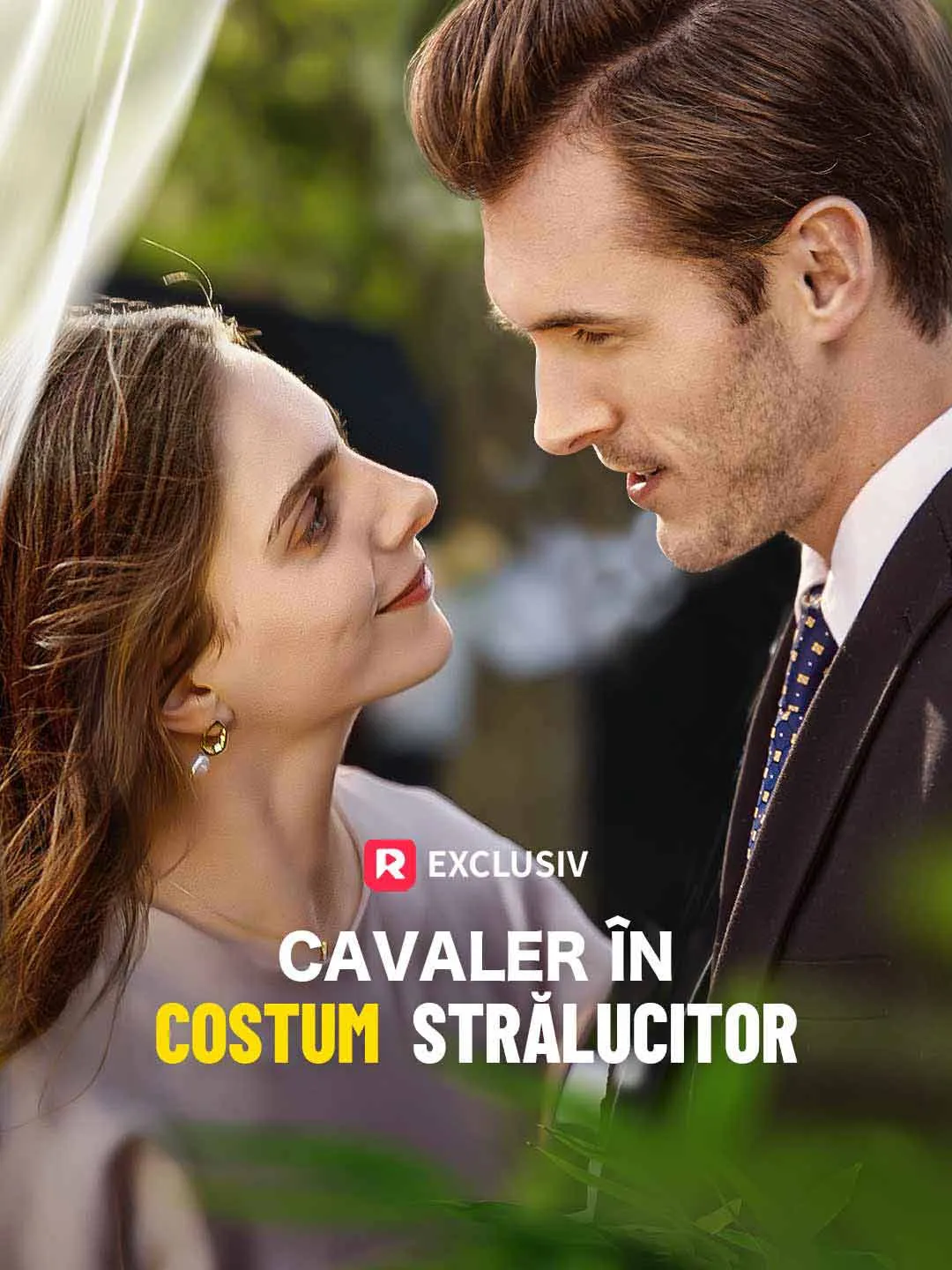 Cavaler în costum strălucitor