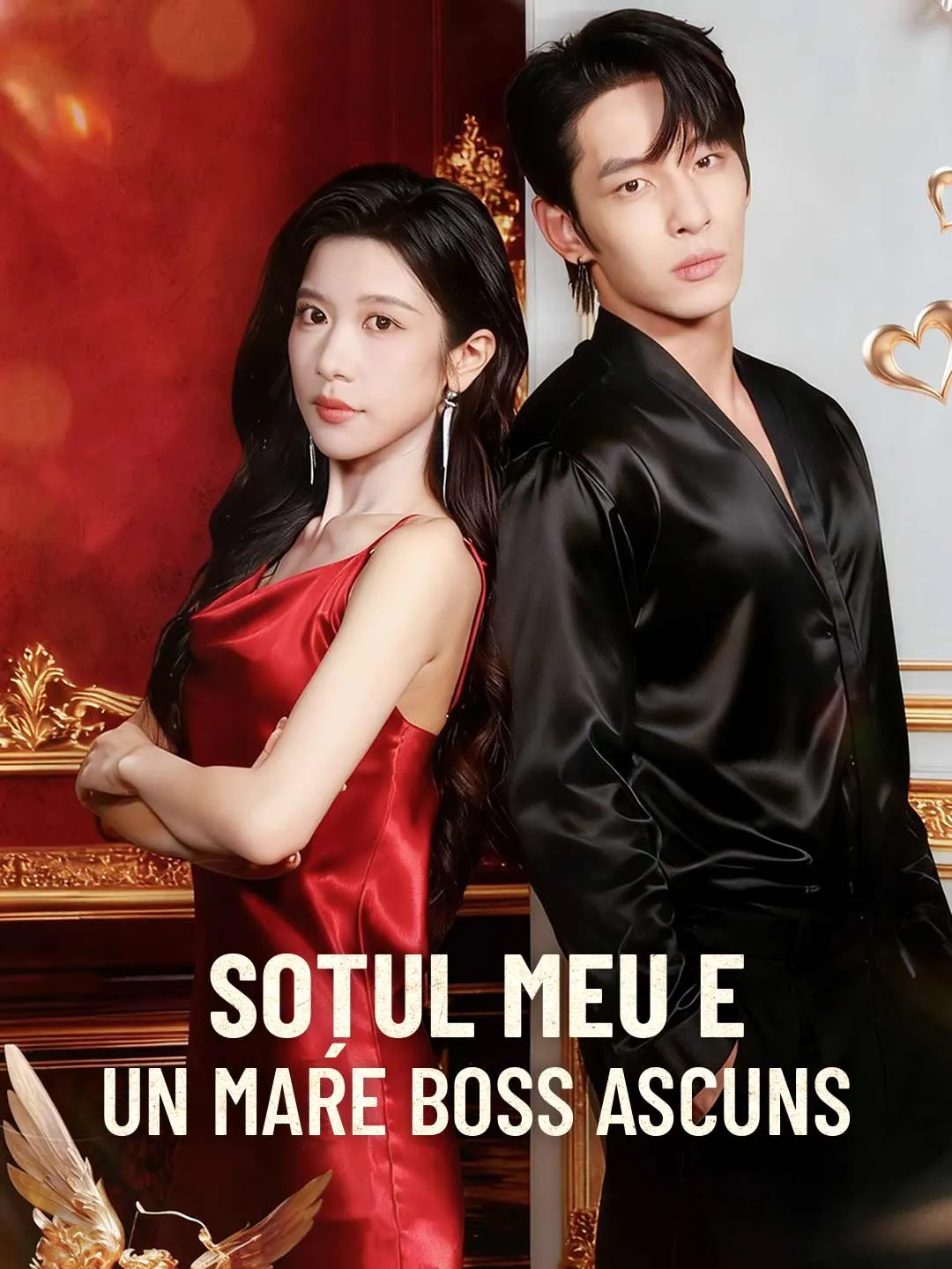 Soțul meu e un mare boss ascuns