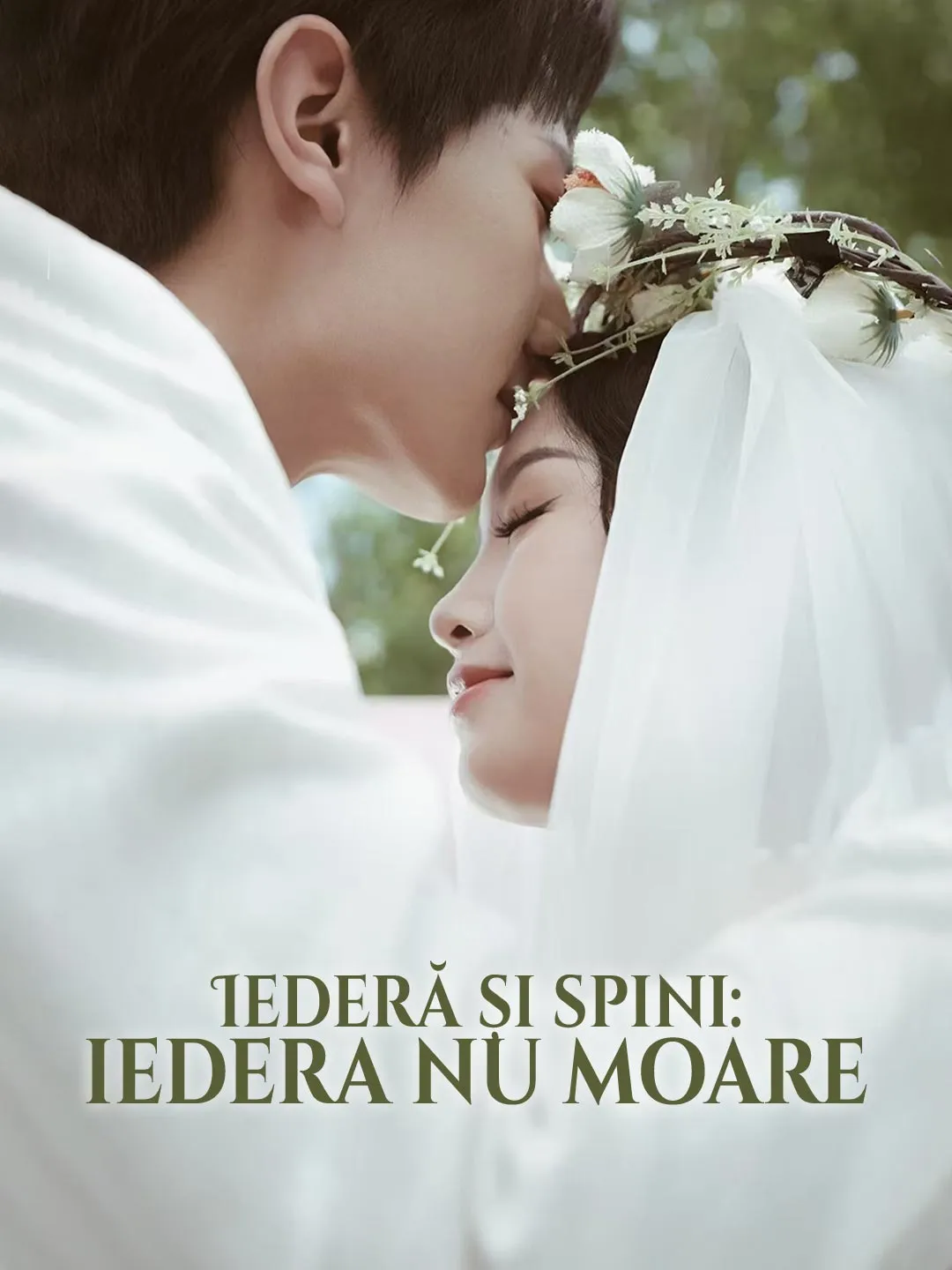 Iederă și spini: iedera nu moare