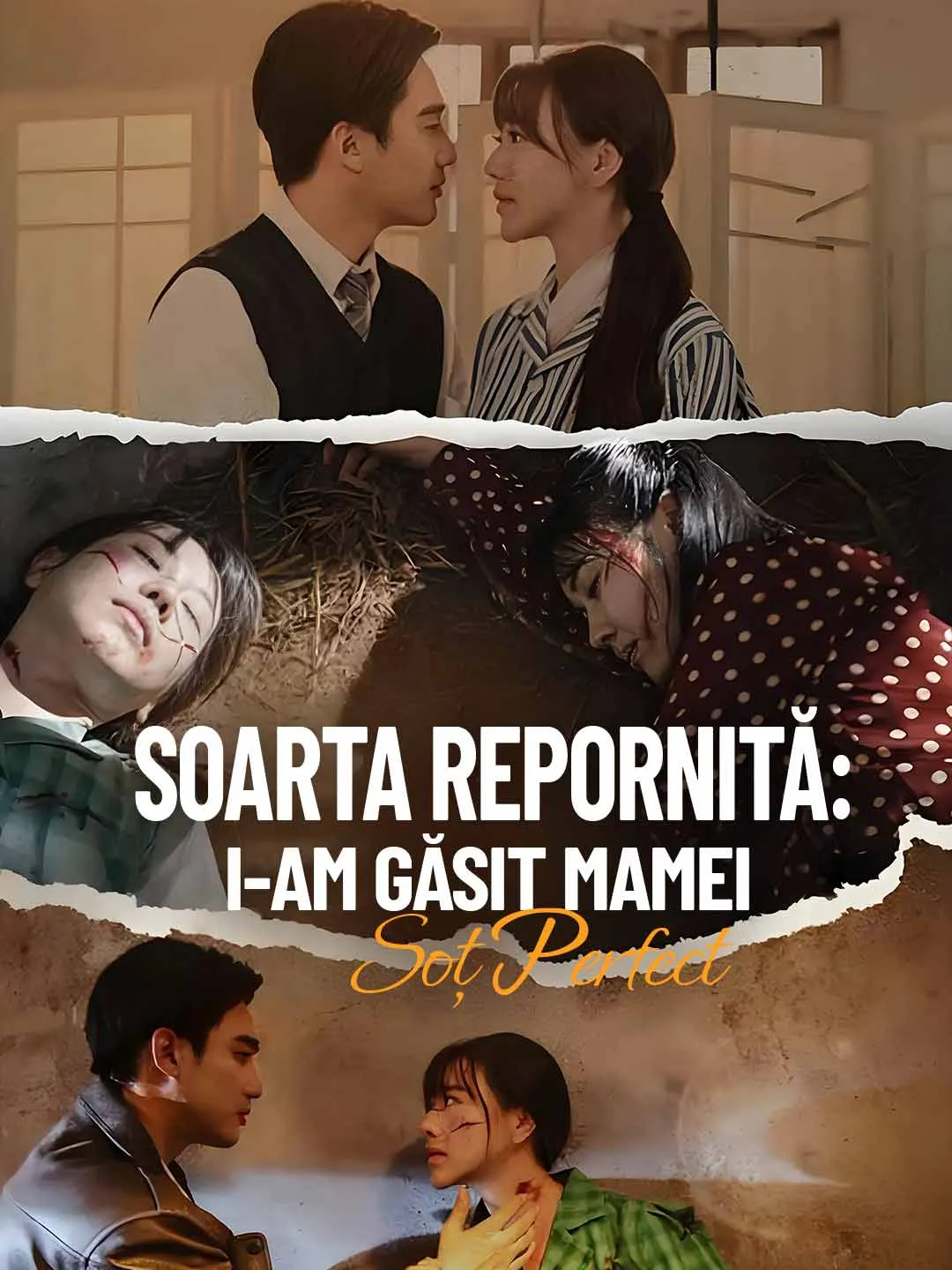 Soarta repornită: i-am găsit mamei soț perfect