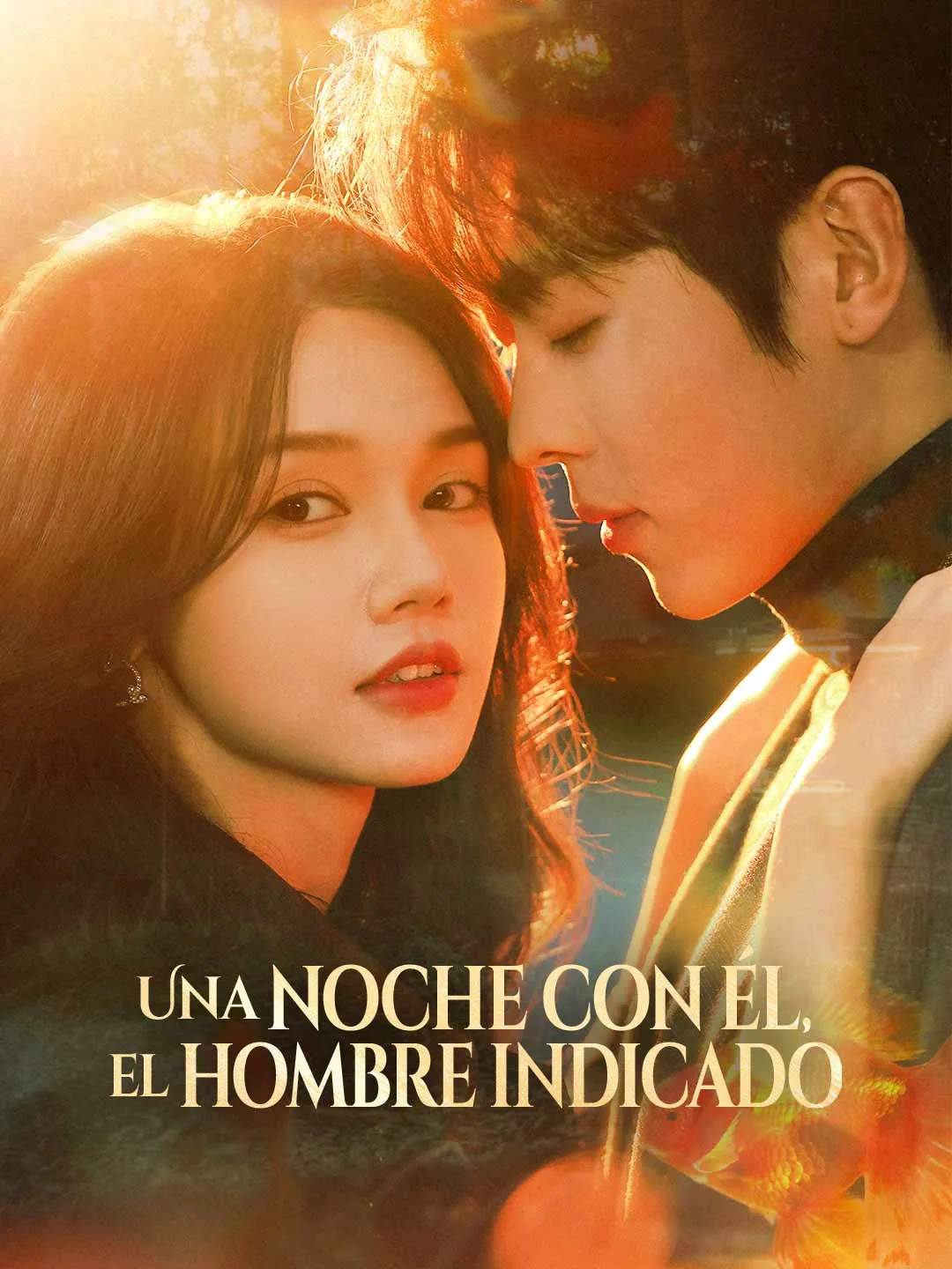 Una noche con él, el hombre indicado