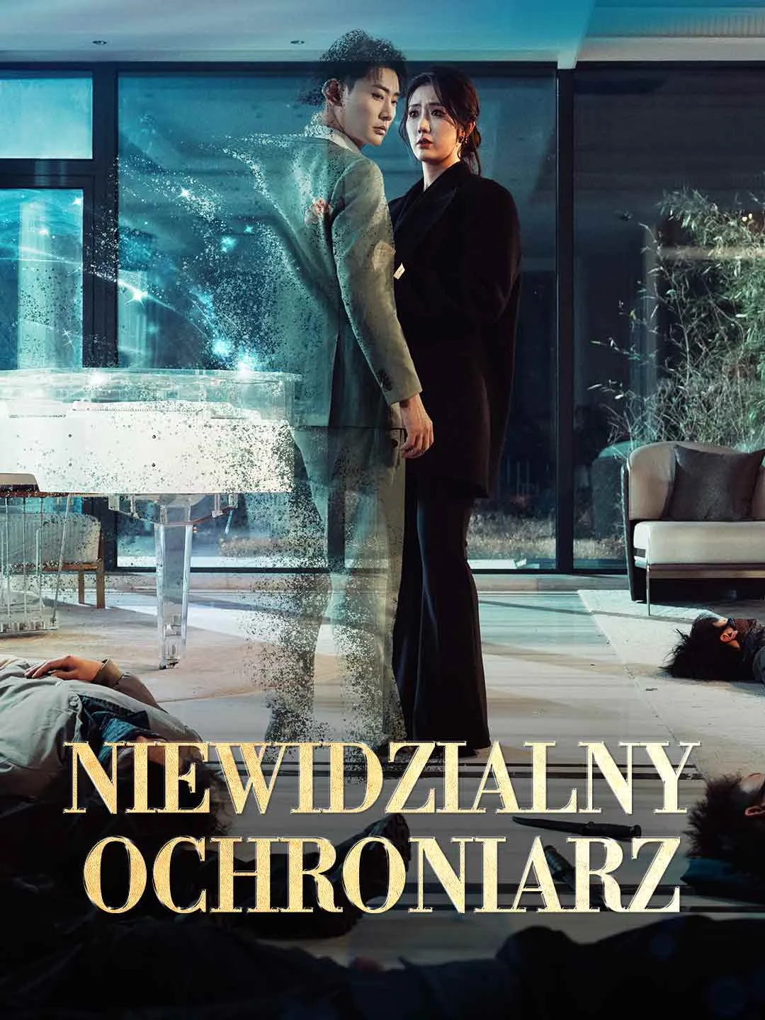 Niewidzialny ochroniarz